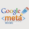 Search Engines and Meta Data editing